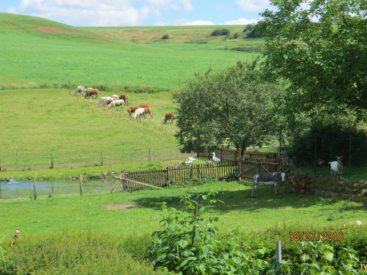 Ferienwohnungen Grafenfelder Hof Gerolstein Zewnętrze zdjęcie